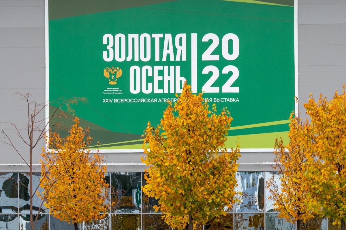Золотая осень 2022